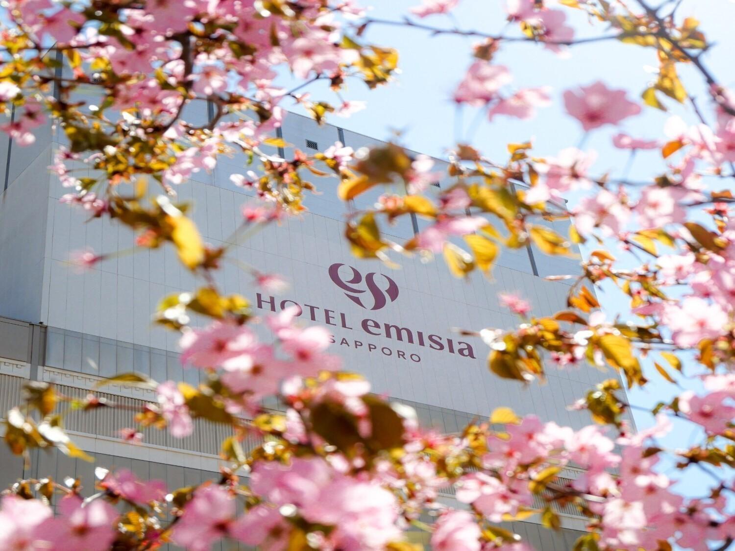 Hotel Emisia Sapporo Eksteriør bilde